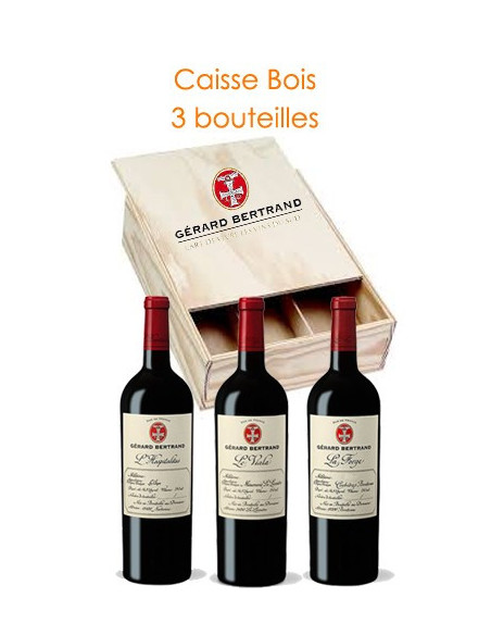 Caisse bois de 3 : 1 Forge, 1 Hospitalitas, 1 Viala - Vinsetchampagnes.fr