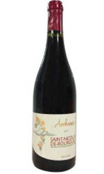 Saint Nicolas Bourgueil Ambroisie rouge 2023 - Vinsetchampagnes.fr