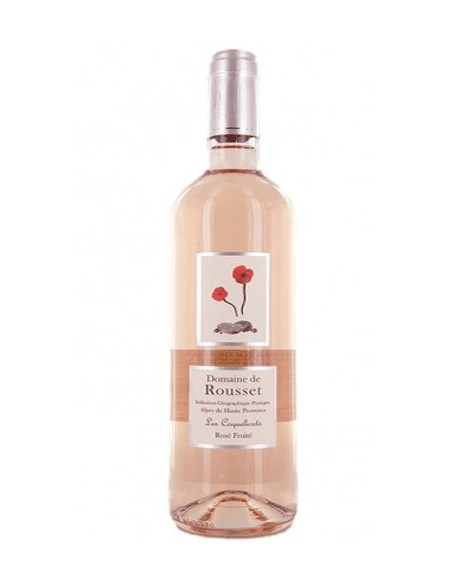 Magnum Rosé Fruité 2024 - Vinsetchampagnes.fr