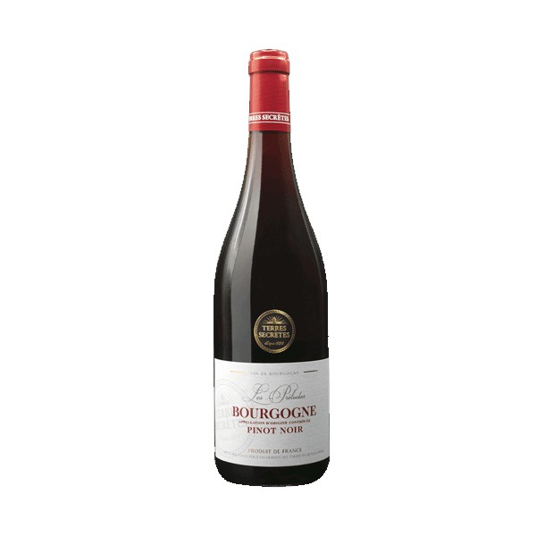 Bourgogne Pinot Noir 2022