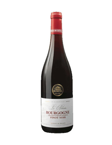 Bourgogne Pinot Noir 2023 - Vinsetchampagnes.fr