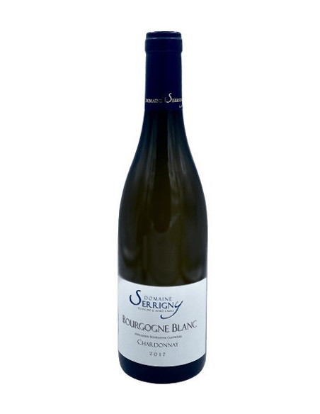 Domaine Serrigny  Bourgogne Chardonnay   2019