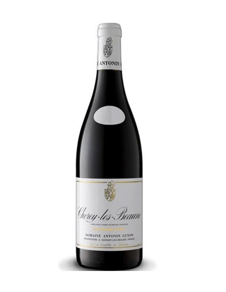 Guyon - Chorey les Beaune " Champs Longs " 2019