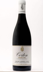 Corton Grand Cru Antonin Guyon 2019