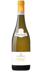 Bourgogne Aligoté Nuiton Beaunoy - vin blanc