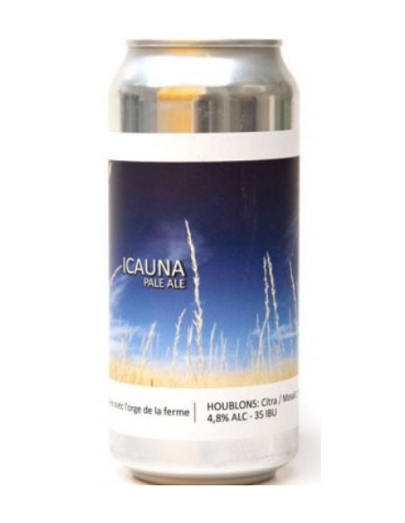 Bière Popihn Icauna en 44cl