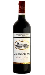 Château Chasse Spleen 2019 75 cl