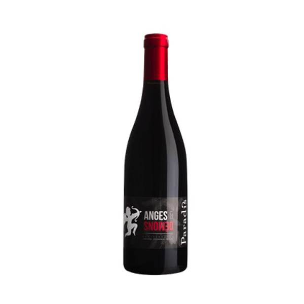 Château Paradis le Domaine Syrah RGE 2022 75 cl Château Paradis le Domaine Syrah RGE 2022 75 cl