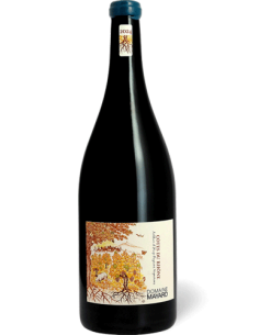 MAYARD MAGNUM CTE DU RHONE Rouge 2024 150cl - Vinsetchampagnes.fr