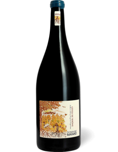 MAYARD MAGNUM CTE DU RHONE Rouge 2024 150cl - Vinsetchampagnes.fr