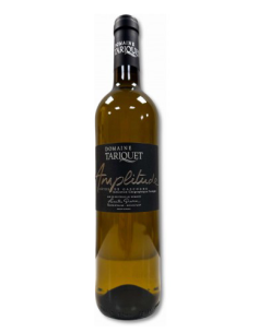 Amplitude - Domaine Tariquet - Vinsetchampagnes.fr