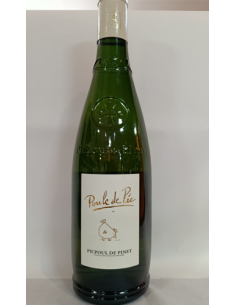 Do la grangette poule de pic AOP picpoul de pinet blc 2025 - Vinsetchampagnes.fr