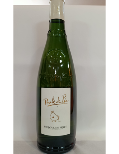 Do la grangette poule de pic AOP picpoul de pinet blc 2025 - Vinsetchampagnes.fr