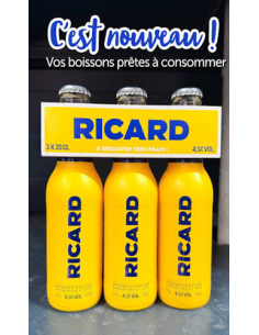 Ricard 4.5° 20cl UNITAIRE - Vinsetchampagnes.fr