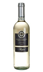 Pinot Grigio Venezie by Allegrini 2013