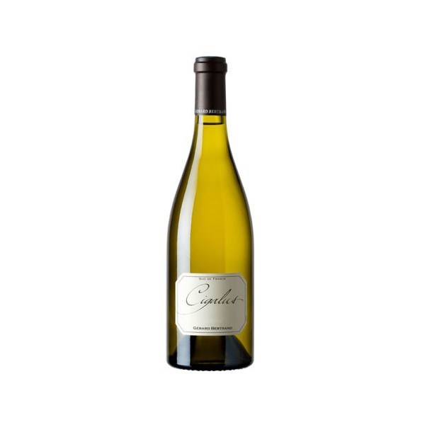 Gérard Bertrand : Cigalus blanc 2018 Gérard Bertrand : Cigalus blanc 2018