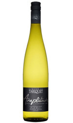 Amplitude - Domaine Tariquet