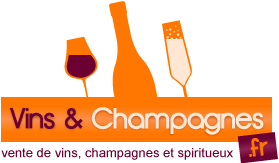 www.vinsetchampagnes.fr